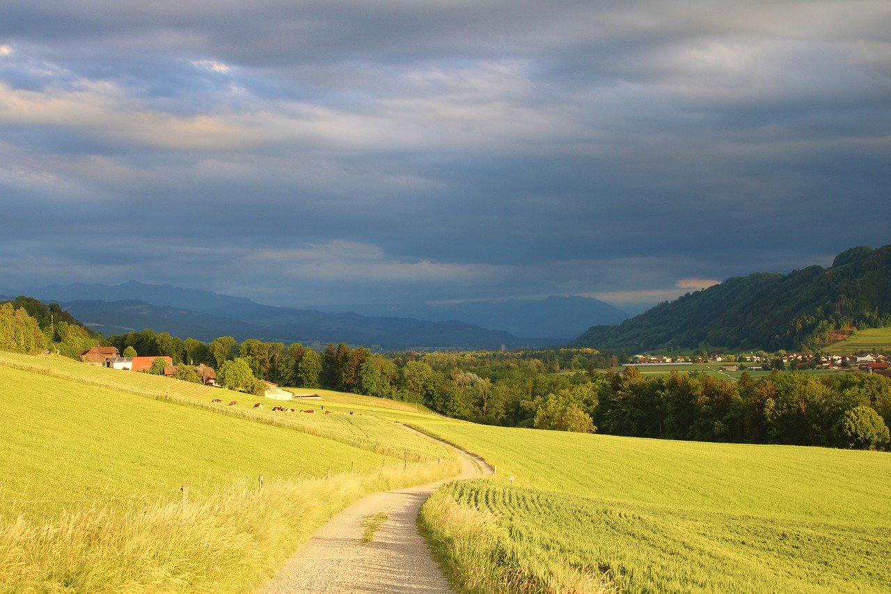 trees, fields, hills-7348625.jpg