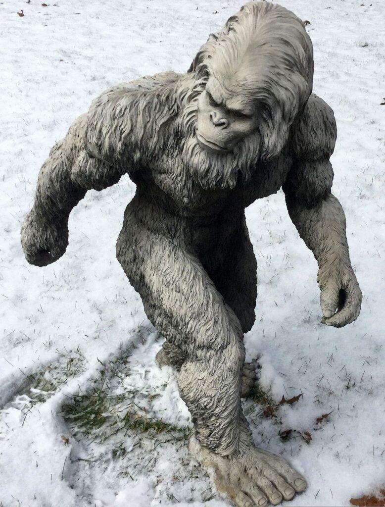 bigfoot, sasquatch, yeti-1620140.jpg