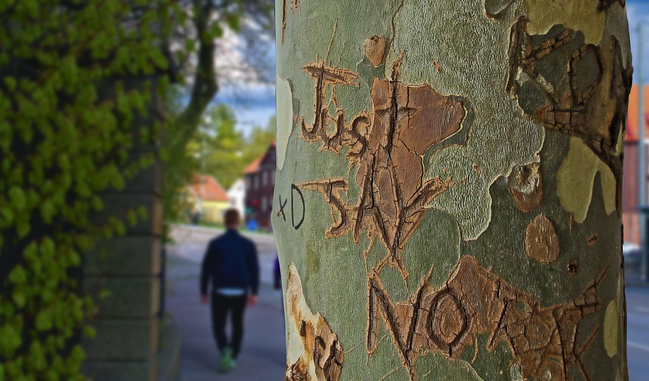 tree trunk, tree, just say no-1159013.jpg